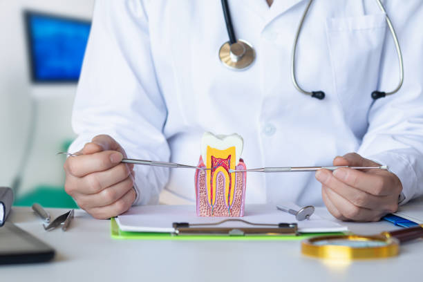 Best Emergency Dental Extractions in Floydada, TX